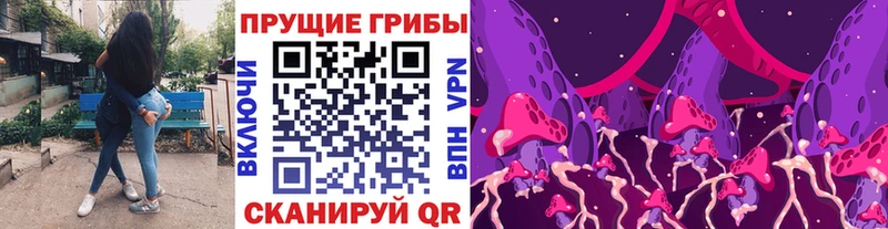 Псилоцибиновые грибы мицелий Карабаново