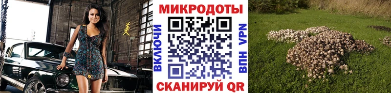 Псилоцибиновые грибы MAGIC MUSHROOMS Карабаново